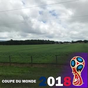 Meet your Posher, Cecilia